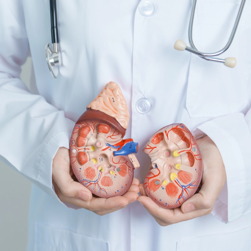 СМЕНА ГРУППЫ КРОВИ ДЛЯ ПЕРЕСАДКИ ПОЧКИ