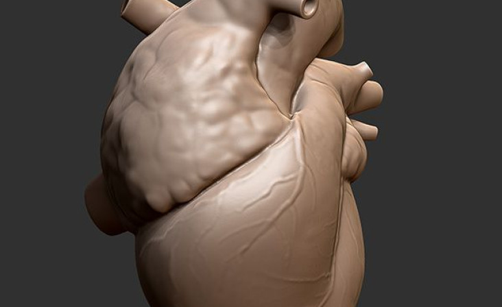 3D-ПЕЧАТЬ СЕРДЦА В ИТАЛИИ